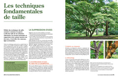 La taille raisonnée des arbustes