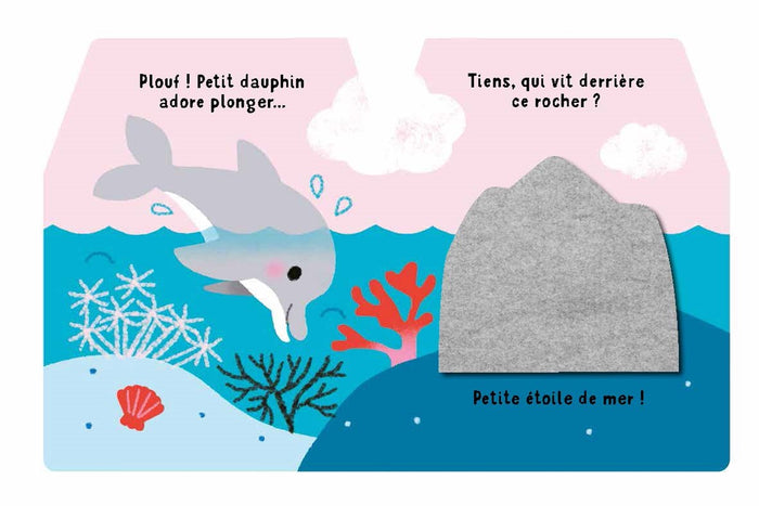 Cache-cache petit dauphin