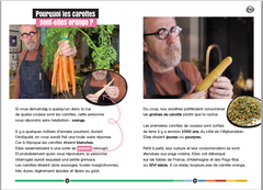 Comment se forme un arc-en-ciel et autres questions colorées... Epicurieux