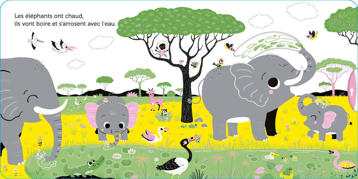 Promenade dans la savane