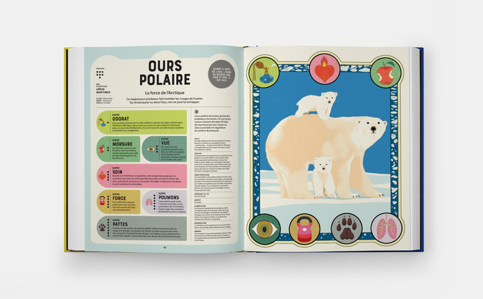 Supersanimaux - Superpouvoirs