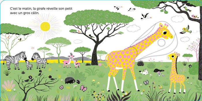 Promenade dans la savane