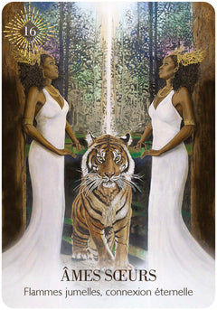 Féminin de lumière