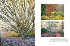 Jardins d'hiver - Une saison réinventée