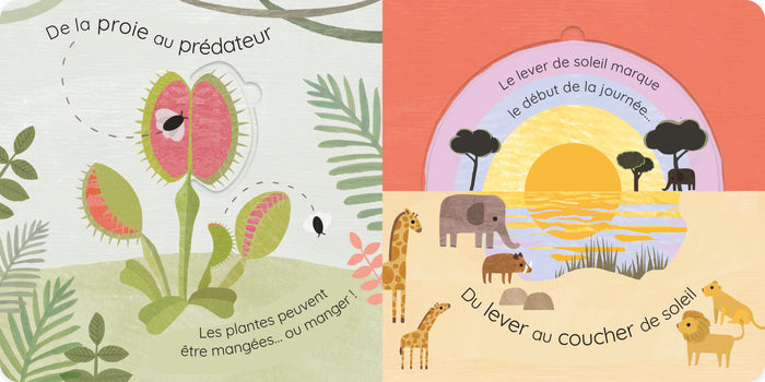 Tout change dans la nature