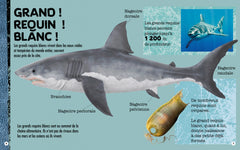 Requin - Construis ton requin géant en 3D