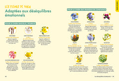 Comprendre & accompagner les émotions de mon chien