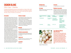 Une serre pour récolter toute l'année