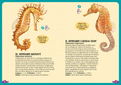 Guide des poissons de la Méditerranée