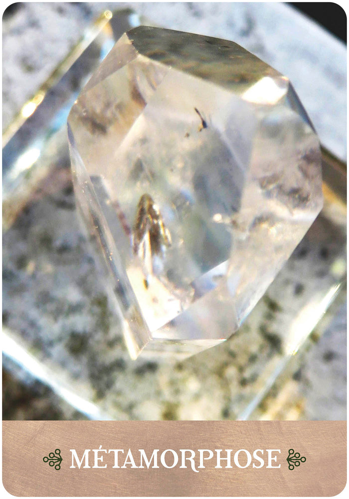 L'oeil de Gaïa - 35 cartes oracle pour vous connecter avec les esprits de la nature