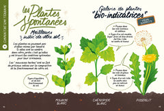Démarrer son potager