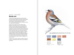 Carnet d'un peintre naturaliste confiné
