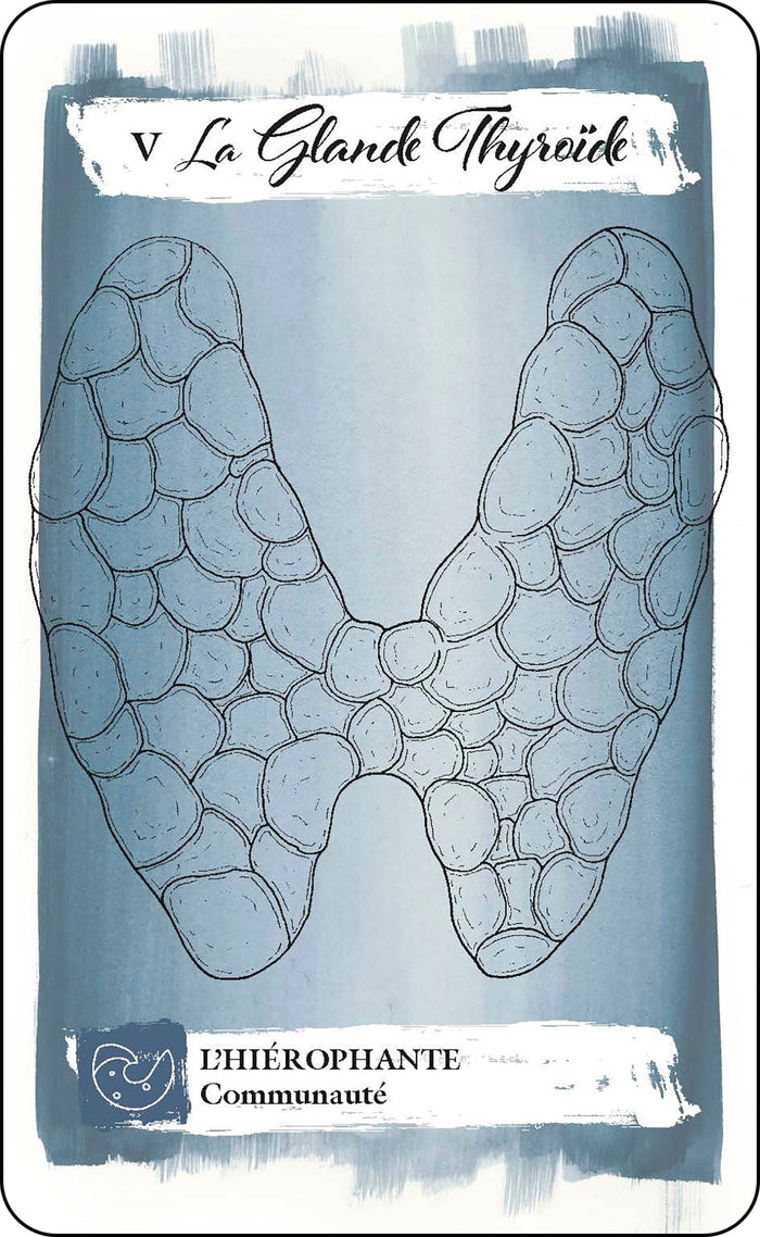 Tarot du corps - Explorez vos désirs à travers les messages de votre corps