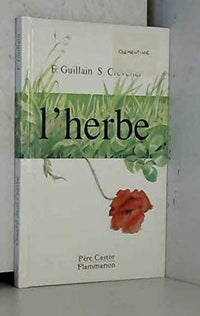 Couches dans l'herbe verte