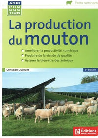 La production du mouton