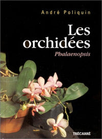 LES ORCHIDEES PHALAENOPSIS