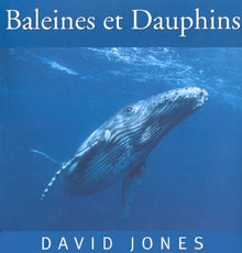 Baleines et dauphins
