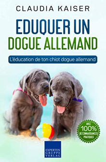Eduquer un dogue allemand: L'éducation de ton chiot dogue allemand
