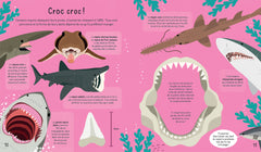 À la rencontre des requins