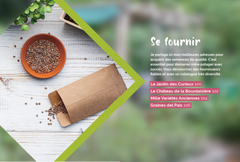 Un potager pas comme les autres