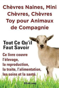 Chèvres naines, mini chèvres, chèvres toy pour animaux de compagnie