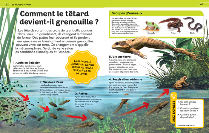 La grande encyclopédie illustrée