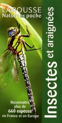 Insectes et araignées