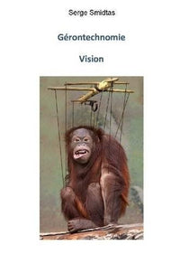 Gérontechnomie - Vision