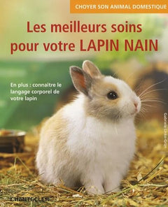 Les meilleurs soins pour votre lapin nain