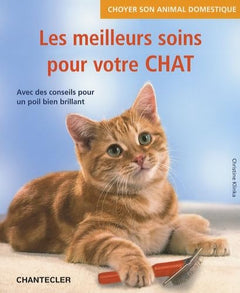 Les meilleurs soins pour votre chat