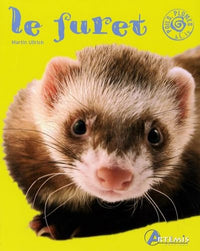 Le furet