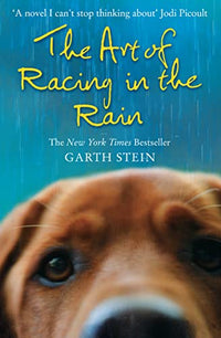 Art Of Racing In The Rain