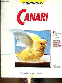 Le canari: Bien le comprendre et bien le soigner