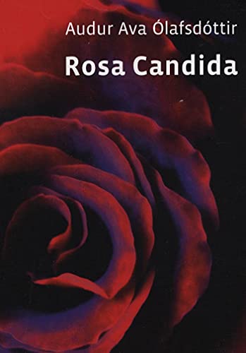 Rosa Candida
