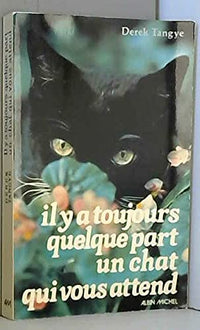 Il y a toujours quelque-part un chat qui vous attend