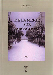 De la neige sur Arcachon