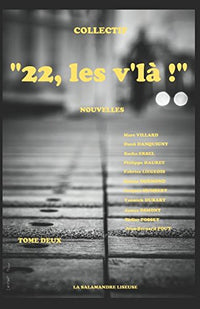 "22, les v'là ! ": Tome deux