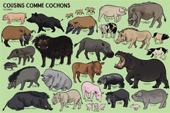 Beaucoup beaucoup d'animaux