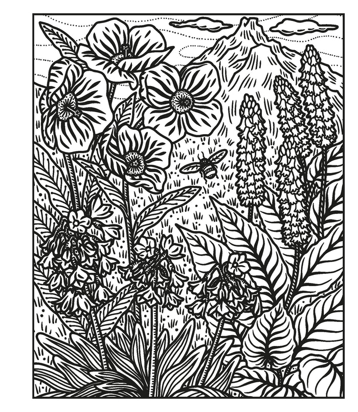 Les fleurs sauvages - La peinture magique