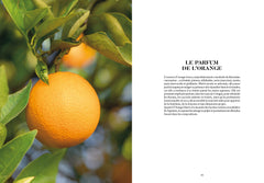 L'Orange en parfumerie