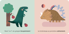 Les dinosaures - À la découverte des contraires