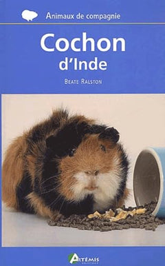 Cochon d'Inde