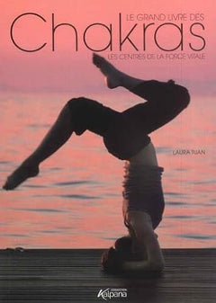 LE GRAND LIVRE DES CHAKRAS