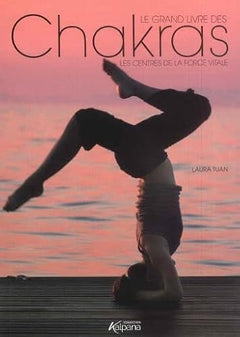 LE GRAND LIVRE DES CHAKRAS