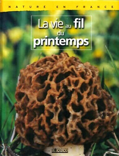 Nature en France : La vie au fil du printemps