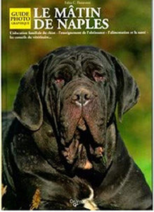 Matin de Naples