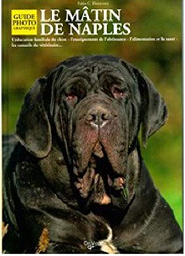 Matin de Naples