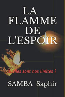 LA FLAMME DE L'ESPOIR: Quelles sont nos limites ?