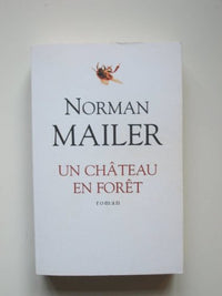 Un chateau dans la foret