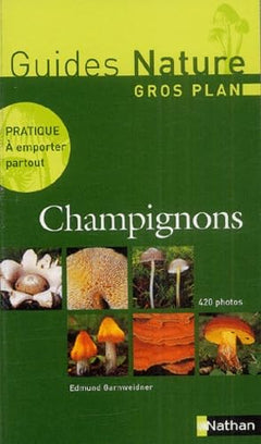 Champignons